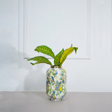 Load image into Gallery viewer, Citrus sonata big vase
