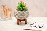Load image into Gallery viewer, AC00513-4.jpg