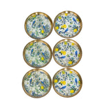 Load image into Gallery viewer, Citrus sonata set of six round coasters